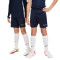 Nike Dri-Fit Academy 23 Niño Shorts