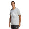 Camiseta adidas Essentials Big Logo