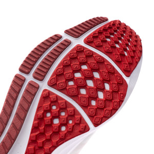 Zapatilla Nike Air Zoom Pegasus 39 14 SUELA-2