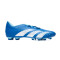 Buty piłkarskie adidas Predator Accuracy.4 FxG