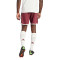 adidas FC Bayern Third Kit Shorts 2023-2024 Shorts