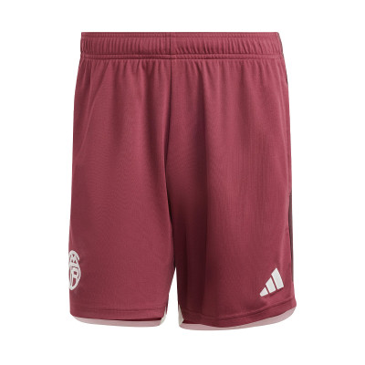 FC Bayern Third Kit Shorts 2023-2024 Shorts