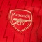 adidas Arsenal FC Primera Equipación 2023-2024 Pullover