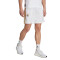 adidas Real Madrid CF Fanswear 2023-2024 Shorts