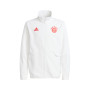 FC Bayern Pre-Match 2023-2024 Niño
