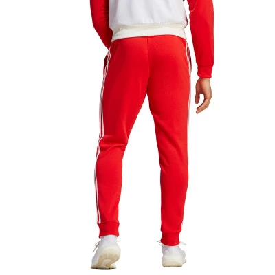 FC Bayern de Múnich Fanswear 2023-2024 Trousers
