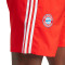 Calções adidas FC Bayern de Múnich Fanswear 2023-2024