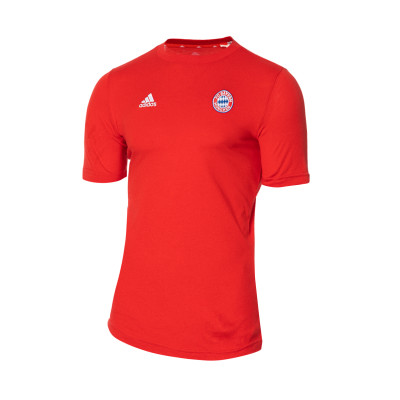 Camiseta FC Bayern de Múnich Fanswear 2023-2024 Niño