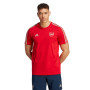 Arsenal FC Fanswear 2023-2024 Better Scarlet