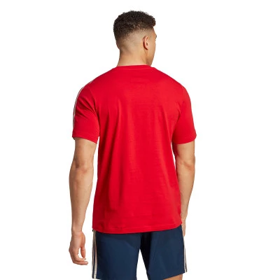 Playera Arsenal FC Fanswear 2023-2024