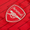 adidas Kids Arsenal FC Home Jersey 2023-2024 Jersey