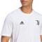 adidas Juventus Fanswear 2023-2024 Jersey