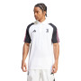 Juventus FC Fanswear 2023-2024-White