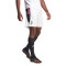 adidas Juventus FC Training 2023-2024 Shorts