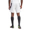adidas Juventus FC Training 2023-2024 Shorts