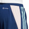 Kratke hlače adidas Ajax Training 2023-2024 Niño