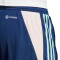 Calções adidas Ajax Training 2023-2024 Criança