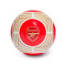 adidas Arsenal FC 2023-2024 Ball