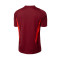 Camiseta Manchester United FC Training 2023-2024 Coll Burgundy