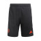 adidas Manchester United FC Training 2023-2024 Shorts