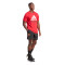 adidas Manchester United FC Fanswear 2023-2024 T-Shirt