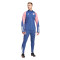Sudadera Olympique de Lyon Training 2023-2024 Tech Indigo-Hazy Rose