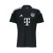 Camiseta FC Bayern de Múnich Primera Equipación Portero 2023-2024 Black