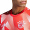 Camiseta FC Bayern de Múnich Pre-Match 2023-2024 Red-White