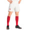 adidas Manchester United FC Third Kit 2023-2024 Shorts