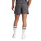 adidas Argentine x Originals Fanswear 2023-2024 Shorts