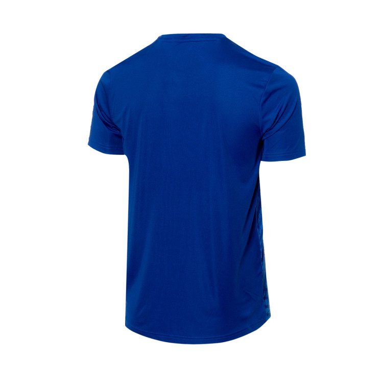 camiseta-castore-ud-almeria-training-2023-2024-victoria-blue-1