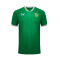 Dres Castore Selección Irlanda Primera Equipación 2023-2024