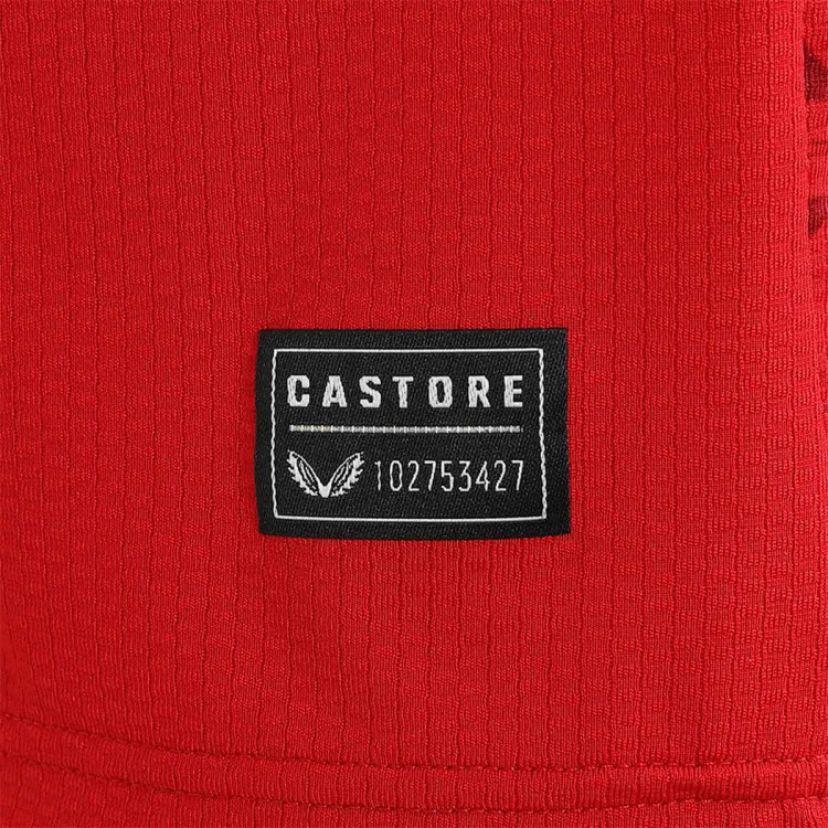 camiseta-castore-wolverhampton-wanderes-segunda-equipacion-2023-2024-adulto-4.jpg