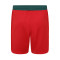 Castore Wolverhampton Wanderers Away Kit 2023-2024 Shorts