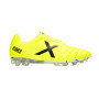 Arenga FG Yellow