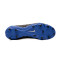 Scarpe Nike Phantom GX Academy FG/MG