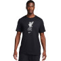 Liverpool FC Fanswear 2023-2024 Czarno-Biały-Biały
