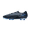 Nike Legend 10 Elite FG Fußballschuh