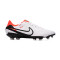 Nike Legend 10 Academy FG/MG Fußballschuh