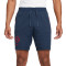 Kratke hlače Nike Paris Saint-Germain FC Fanswear 2023-2024