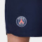 Nike Paris Saint-Germain FC Fanswear 2023-2024 Shorts