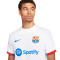 Nike FC Barcelona Authentic Away Jersey 2023-2024 Jersey