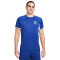 Nike Chelsea FC Primera Equipación 2023-2024 Pullover