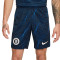 Nike Chelsea FC Away Kit 2023-2024 Shorts