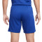 Nike Chelsea FC Home Kit Shorts 2023-2024 Shorts