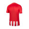 Nike Kids Atlético de Madrid Home Jersey 2023-2024 Jersey