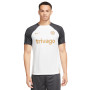 Chelsea FC Training 2023-2024 White-White-Club Gold