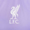 Nike Liverpool FC Training 2023-2024 Sweatshirt