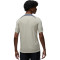 Camiseta Paris Saint-Germain x Jordan Training 2023-2024 Stone-Iron Grey-Black