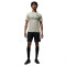 Camiseta Paris Saint-Germain x Jordan Training 2023-2024 Stone-Iron Grey-Black